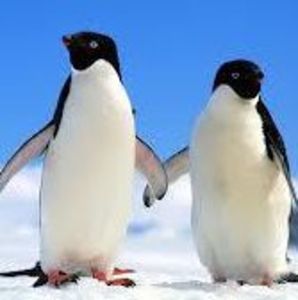 Meet your Posher, Dianna